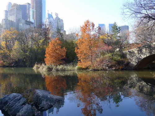 NYC_2012-11-22 13-20-55_P1070534